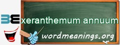 WordMeaning blackboard for xeranthemum annuum